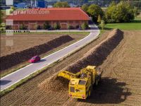 Rübenernte Au 27