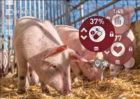 Digitale Landwirtschaf