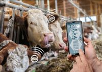 Microchip Animal husbandry 1