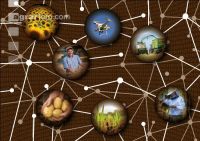 Networked agriculture 3