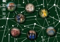 Networked agriculture 2
