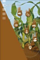 Digitale Landwirtschaft 2
