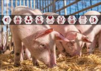 Digitale Landwirtschaft 41
