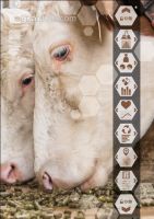Digitale Landwirtschaft 36