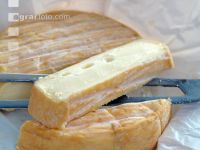 Rotschmierkäse 1