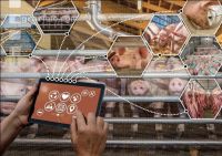 Networked agriculture 7