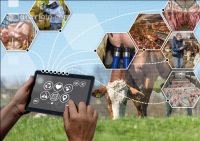 Networked agriculture 6