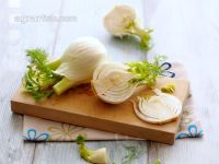 Knollenfenchel 4