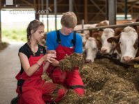 Tierhaltung Unterricht 19