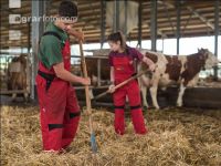 Tierhaltung Unterricht 2
