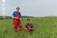 Permanent meadow 2