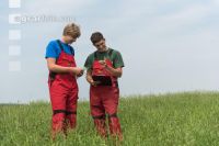 Permanent meadow 1