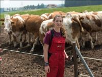 Weidezaun umstecken 4