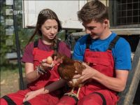 Tierhaltung Praxisunterricht 5
