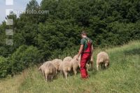 Tierhaltung Praxisunterricht 3