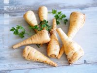 Pastinake 2