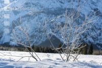 Almsee Eis und Schnee 28