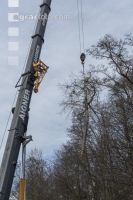 Spezialholzfällung 21