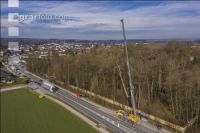 Spezialholzfällung 8
