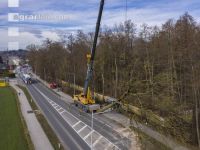 Spezialholzfällung 5