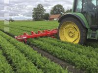Hogging machine carots 3