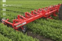 Hogging machine carots 2