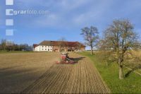 Erbsen Mulchsaat 14