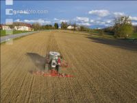 Erbsen Mulchsaat 13