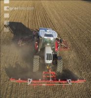 Erbsen Mulchsaat 12
