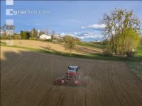 Erbsen Mulchsaat 8