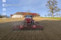 Erbsen Mulchsaat 7
