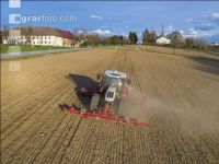 Erbsen Mulchsaat 6
