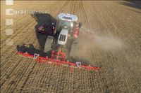 Erbsen Mulchsaat 5