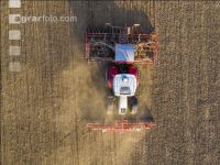 Erbsen Mulchsaat 4