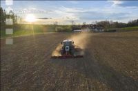 Erbsen Mulchsaat 2