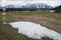 Meadow after winter 1