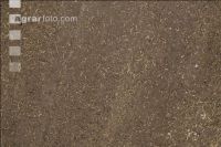 Mulched forest 1