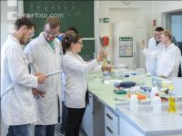 Mikrobiologielabor 20