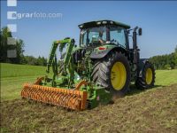 Grub on grassland 37