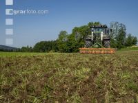 Grub on grassland 33