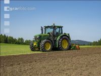 Grub on grassland 29