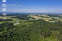 ForestFieldGrassland 1