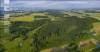 ForestFieldGrassland 2