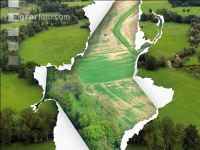 Drought on grassland