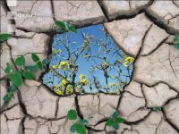Climate change 7