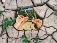 Climate change 6