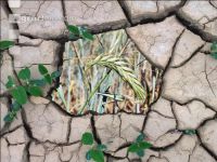 Climate change 5