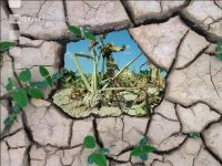 Climate change 4