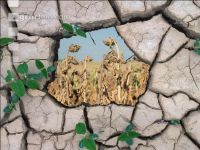 Climate change 3