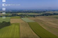 Alpenvorland Hochsommer 5